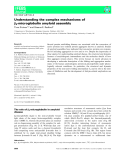 Báo cáo khoa học:  Understanding the complex mechanisms of b2-microglobulin amyloid assembly