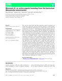 Báo cáo khoa học: Shewasin A, an active pepsin homolog from the bacterium Shewanella amazonensis