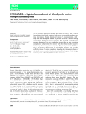 Báo cáo khoa học: DYNLL/LC8: a light chain subunit of the dynein motor complex and beyond