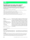 Báo cáo khoa học:  Enzymatic toxins from snake venom: structural characterization and mechanism of catalysis