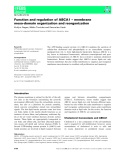 Báo cáo khoa học: Function and regulation of ABCA1 – membrane meso-domain organization and reorganization