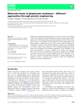 Báo cáo khoa học:  Molecular basis of glyphosate resistance – different approaches through protein engineering