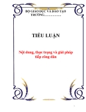 TIỂU LUẬN: Nội dung, thực trạng và giải pháp tiếp công dân