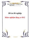 Đồ án tốt nghiệp: Khảo nghiệm động cơ D12