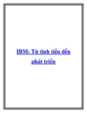 IBM: Từ tịnh tiến đến phát triển