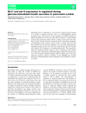 Báo cáo khoa học: Sirt1 and mir-9 expression is regulated during glucose-stimulated insulin secretion in pancreatic b-islets