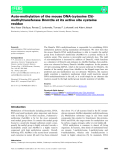 Báo cáo khoa học: Auto-methylation of the mouse DNA-(cytosine C5)-methyltransferase Dnmt3a at its active site cysteine residue