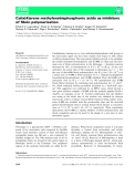 Báo cáo khoa học: Calix[4]arene methylenebisphosphonic acids as inhibitors of ﬁbrin polymerization