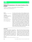 Báo cáo khoa học:  Seeking the determinants of the elusive functions of Sco proteins