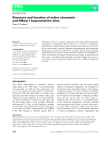 Báo cáo khoa học:  Structure and function of active chromatin and DNase I hypersensitive sites