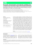 Báo cáo khoa học: Enzymatic characterization and molecular modeling of an evolutionarily interesting fungal b-N-acetylhexosaminidase