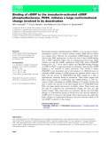 Báo cáo khoa học: Binding of cGMP to the transducin-activated cGMP phosphodiesterase, PDE6, initiates a large conformational change involved in its deactivation