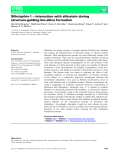 Báo cáo khoa học: cceleration of disulfide-coupled protein folding using glutathione derivatives