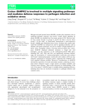 Báo cáo khoa học: Cotton GhMPK2 is involved in multiple signaling pathways and mediates defense responses to pathogen infection and oxidative stress