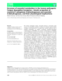 Báo cáo khoa học: Enzymes of mannitol metabolism in the human pathogenic fungusAspergillus fumigatus– kinetic properties of mannitol-1-phosphate 5-dehydrogenase and mannitol 2-dehydrogenase, and their physiological implications