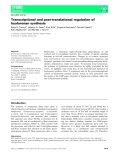 Báo cáo khoa học: Transcriptional and post-translational regulation of hyaluronan synthesi