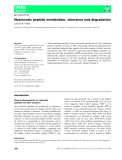 Báo cáo khoa học: Natriuretic peptide metabolism, clearance and degradation