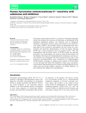 Báo cáo khoa học: Human kynurenine aminotransferase II – reactivity with substrates and inhibitors