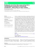 Báo cáo khoa học: Cys126 is a completely conserved residue in triosephosphate isomerase that