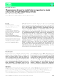 Báo cáo khoa học:  Trypanosoma brucei: a model micro-organism to study eukaryotic phospholipid biosynthesis