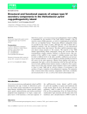 Báo cáo khoa học: Structural and functional aspects of unique type IV secretory components in the Helicobacter pylori cag-pathogenicity island