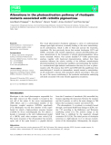 Báo cáo khoa học: Alterations in the photoactivation pathway of rhodopsin mutants associated with retinitis pigmentosa