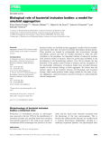 Báo cáo khoa học: Biological role of bacterial inclusion bodies: a model for amyloid aggregation