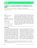 Báo cáo khoa học: a-enolase: a promising therapeutic and diagnostic tumor target