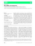 Báo cáo khoa học:  MicroRNAs and epigenetics