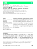 Báo cáo khoa học:  Mechanisms of amyloid ﬁbril formation – focus on domain-swapping