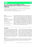 Báo cáo khoa học: The chromosomal protein HMGN2 mediates lipopolysaccharide-induced expression of b-defensins in A549 cells