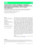 Báo cáo khoa học: Crystal structure of basic 7S globulin, a xyloglucanspeciﬁc endo-b-1,4-glucanase inhibitor protein-like protein from soybean lacking inhibitory activity against endo-b-glucanase