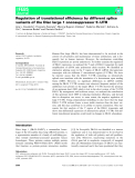 Báo cáo khoa học: Regulation of translational efﬁciency by different splice variants of the Disc large 1 oncosuppressor 5¢-UTR