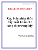 Luận văn " Các biện pháp thúc đẩy xuất khẩu chè sang thị trường Mỹ "