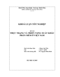 Luận văn " THỰC TRẠNG VÀ TRIỂN VỌNG XUẤT KHẨU PHẦN MỀM Ở VIỆT NAM "