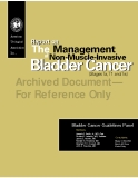 Report on The Management of Non-Muscle-Invasive Bladder Cancer