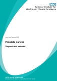 Prostate cancer - Diagnosis and treatment 