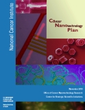 Cancer Nanotechnology Plan