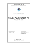 Luận văn: Phân tích hiệu quả huy động vốn và cho vay vốn tại Ngân hàng TMCP Xuất Nhập Khẩu Việt Nam – Chi nhánh Cái Khế TP. Cần Thơ