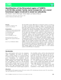 Báo cáo khoa học: Identiﬁcation of the N-terminal region of TjZNT2, a Zrt⁄Irt-like protein family metal transporter, as a novel functional region involved in metal ion selectivity