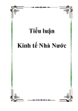 Tiểu luận Kinh tế Nhà Nước