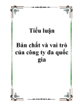 Tiểu luận Bản chất và vai trò của công ty đa quốc gia