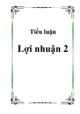 Tiểu luận Lợi nhuận 2 