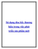 Sử dụng đòn bẩy thương hiệu trong việc phát triển sản phẩm mới.Chiến