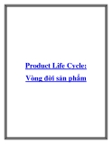 Product Life Cycle: Vòng đời sản phẩm