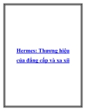 Hermes: Thương hiệu của đẳng cấp và xa xỉi.Có thể nói Hermes đã trở thành