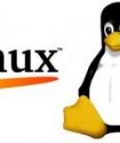 Tại sao Linux không cần chống phân mảnh