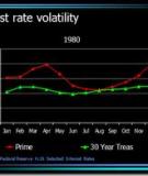 Interest Rate Volatility and Risk in  Indian Banking