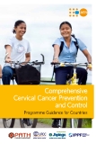 Comprehensive Cervical Cancer Prevention and Control: Programme Guidance for Countries