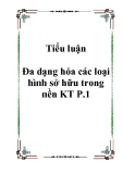 Tiểu luận Đa dạng hóa các loại hình sở hữu trong nền KT P.1